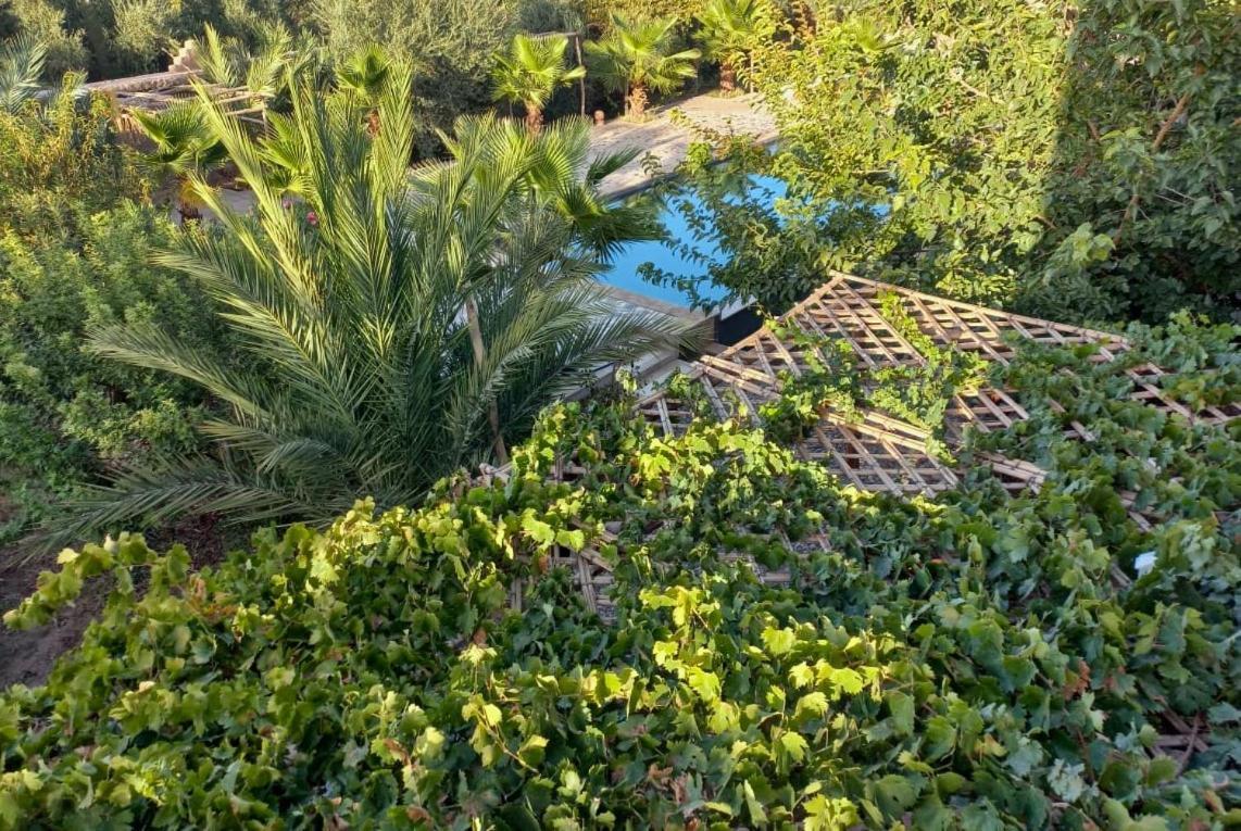 Riad Aman Skoura Exterior foto