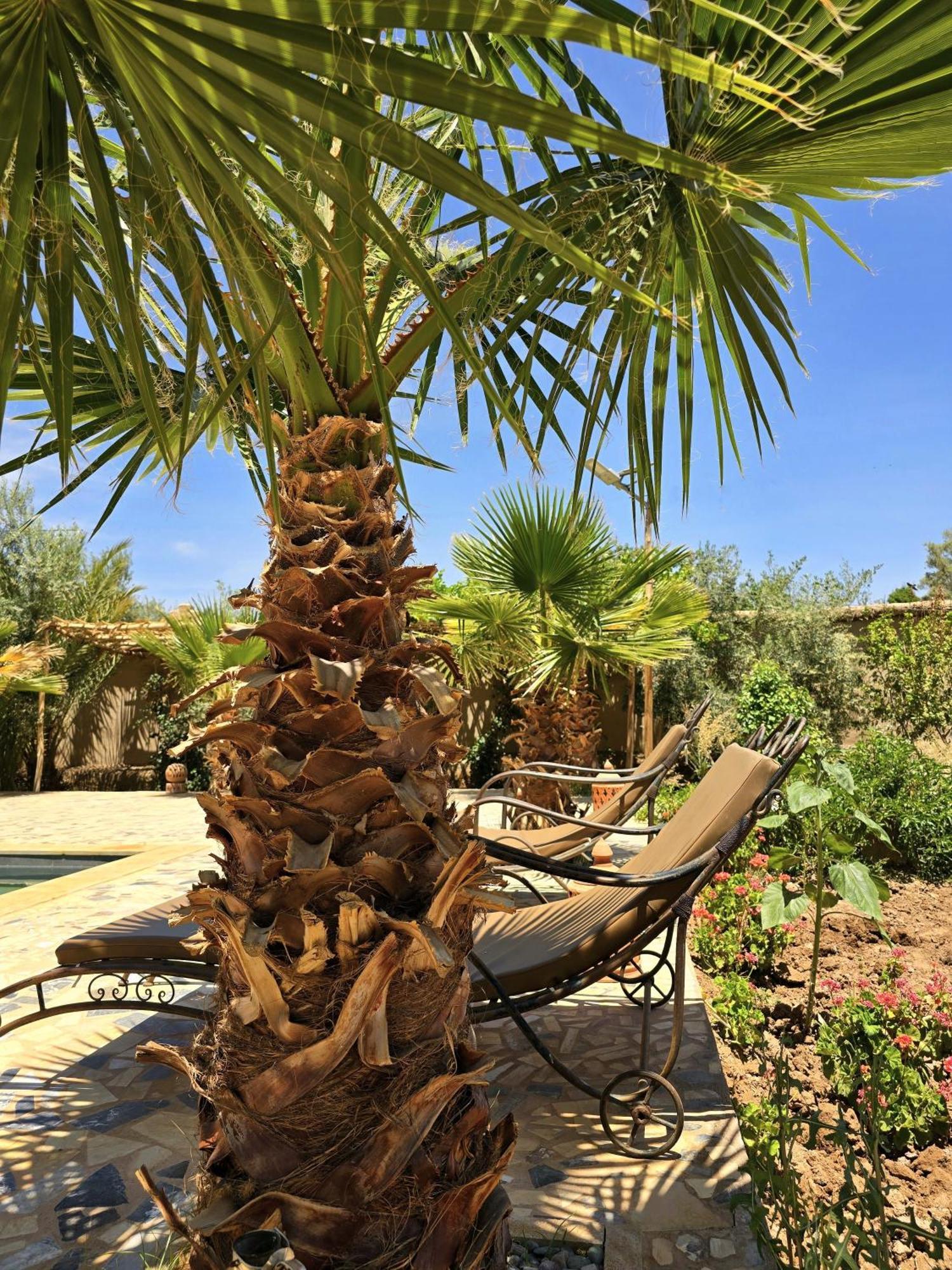 Riad Aman Skoura Exterior foto