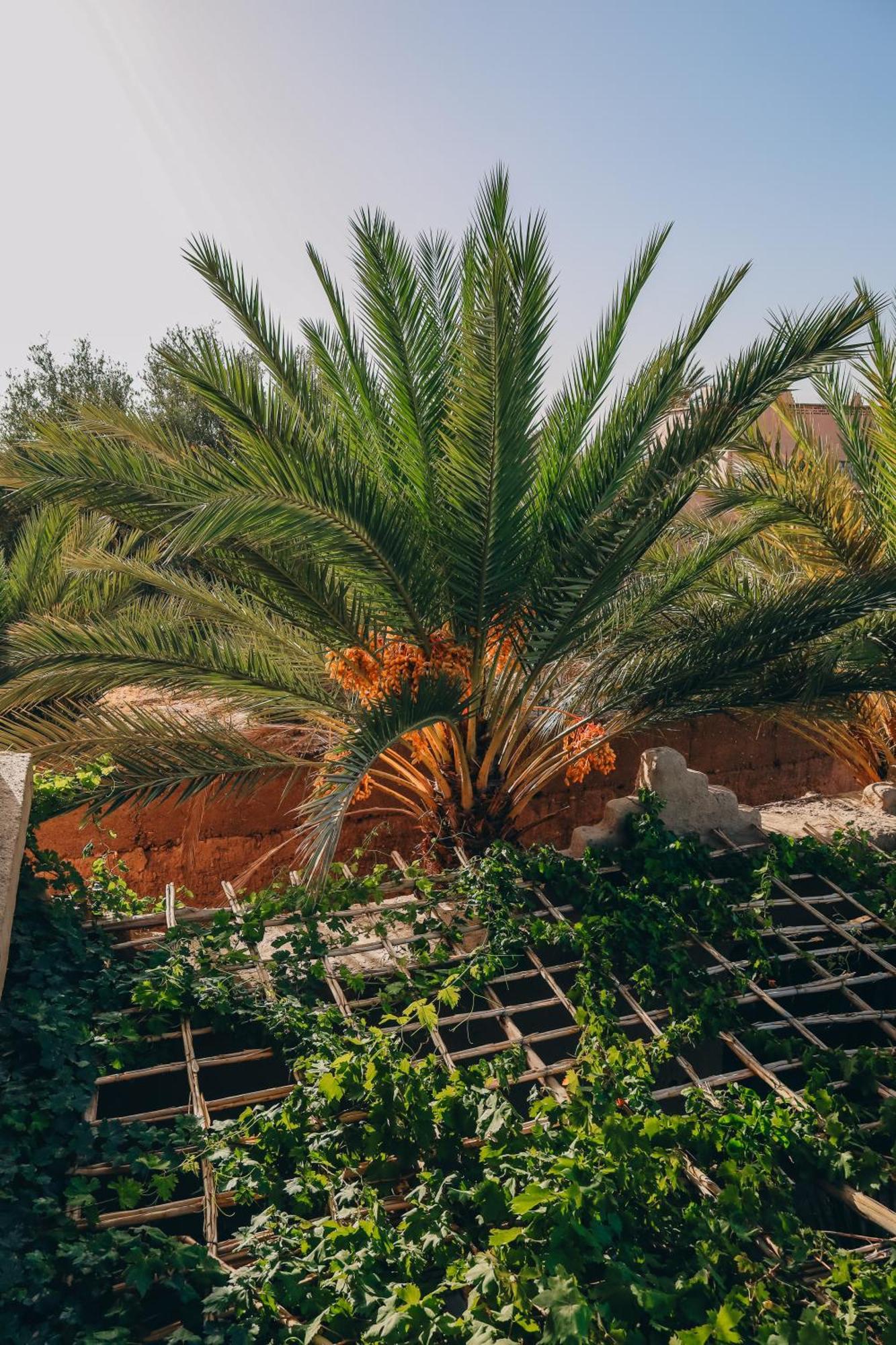 Riad Aman Skoura Exterior foto